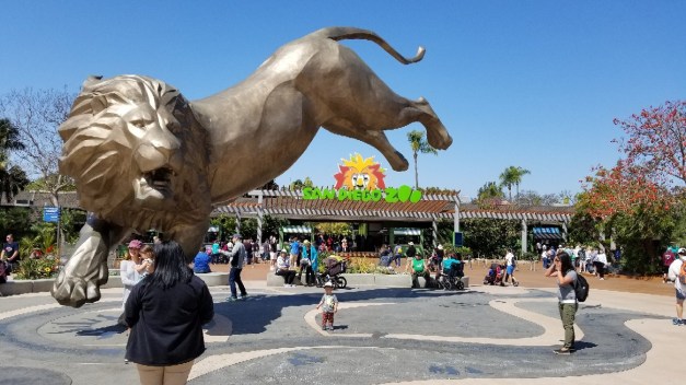 Great Summer Vacation Things to Do In USA