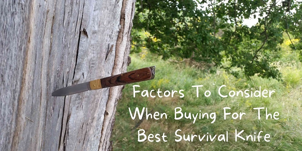 Factors To Consider When Buying For The Best Survival Knife