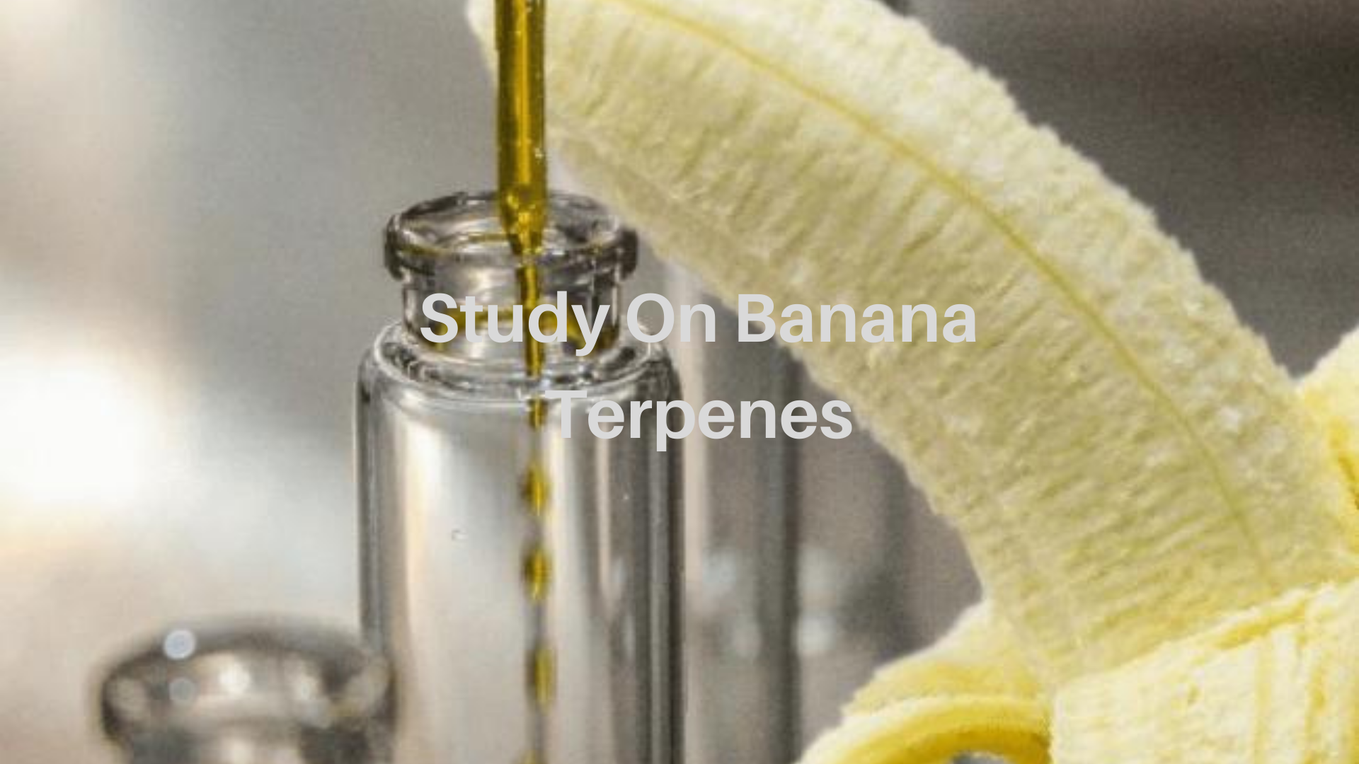 Banana Terpenes