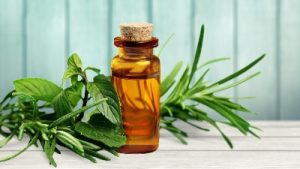 Tea Tree Oil