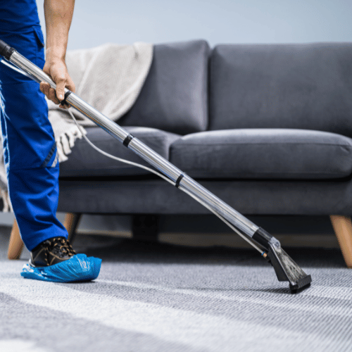 Carpet Cleaning